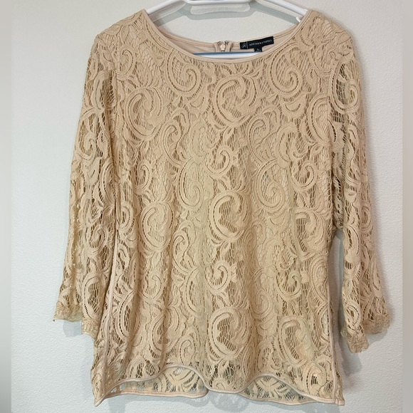 Adrianna Papell Beige Lace Blouse - Picture 1 of 5